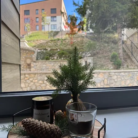 Apartment 11,free Garage,ski To Door