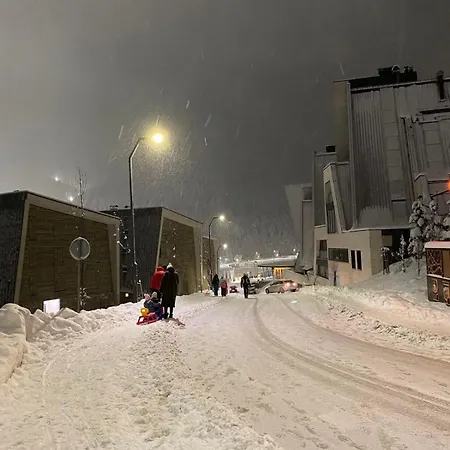 11,free Garage,ski To Door アパート